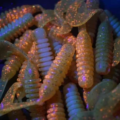 Campania Lures 2" Charger Grubs
