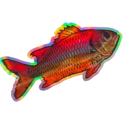 Hawaii Fishing Gear Stickers