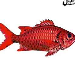 Hawaii Fishing Gear Stickers