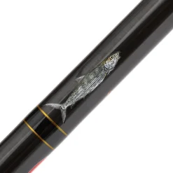HFG 2