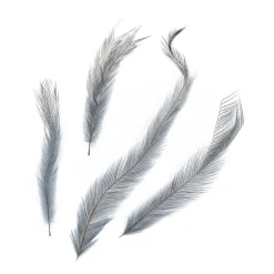Spirit River UV2 Emu Feathers